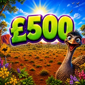 £500